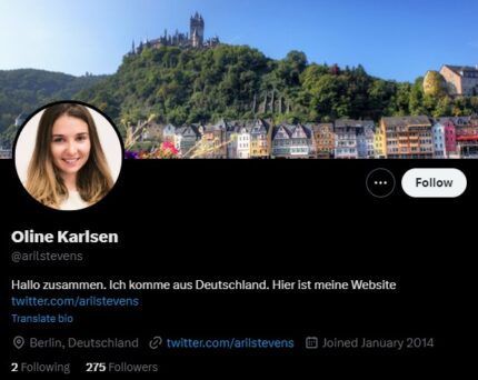 Немецкие аккаунты X (Twitter) со 100 Подписчиками