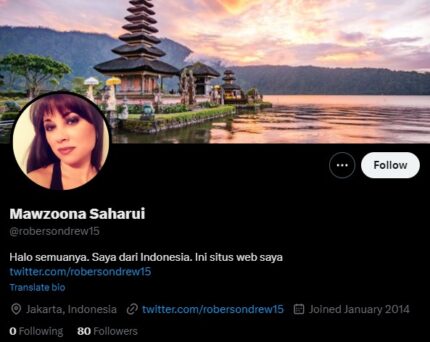 Индонезийские аккаунты X (Twitter) со 100 Подписчиками